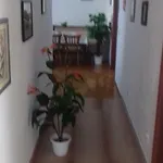 Marijeta 公寓 扎达尔