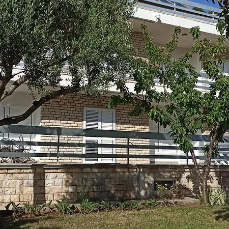 Marijeta * זאדאר