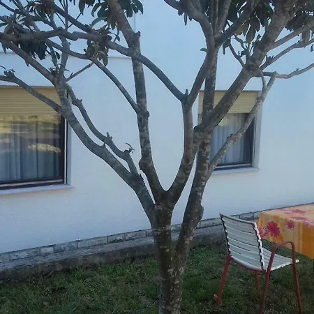 Marijeta Apartman Zadar